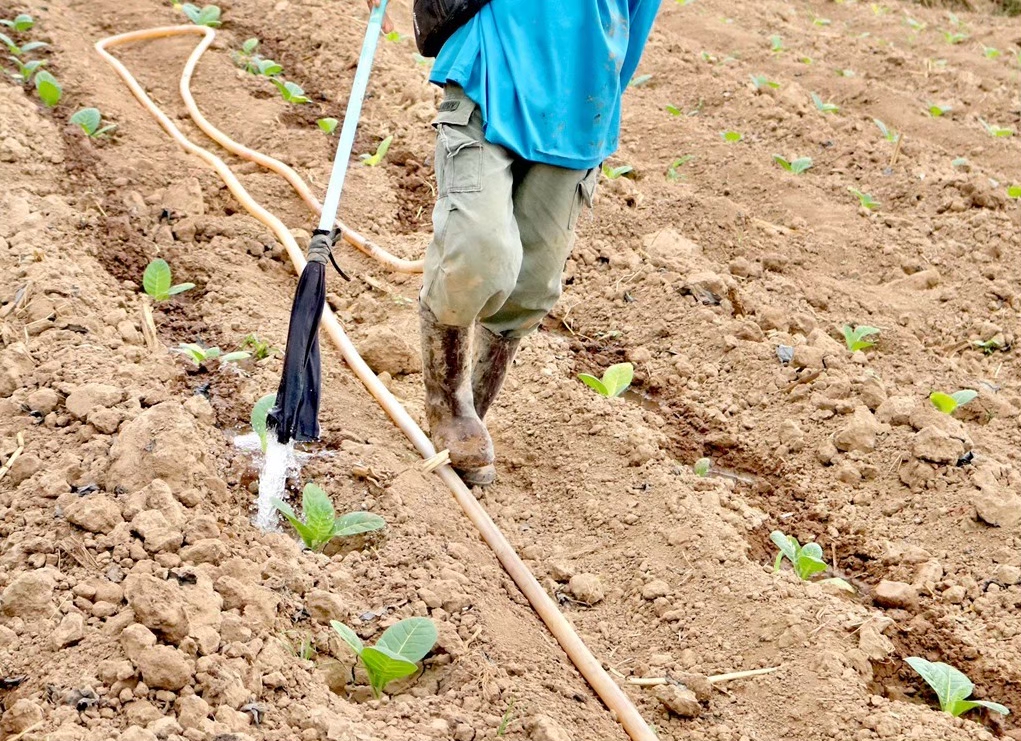 Farm Activity 7